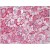 R1031P Apolipoprotein AII antibody staining of Paraffin-Embedded Human Adrenal at 5 µg/ml.