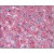 R1032P Apolipoprotein B antibody staining of Formalin-Fixed, Paraffin-Embedded Human Liver at 5 µg/ml