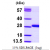 Recombinant human GSTM4, 1- 218 aa, His-tagged