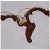 Formalin fixed paraffin embedded human skin stained with Cytokeratin 6/18 antibody (Cat.#DM051).