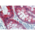 Immunohistochemistry staining of human colon (paraffin sections) using Cytokeratin 18 Antibody (clone DC-10).