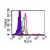 Intracellular flow cytometric analysis of TLR6 in Ramos cells using SM7112R at 0.5 µg/10e6 cells. Shaded histogram represents Ramos cells without antibody; green represents isotype control; red represents anti-TLR6 antibody.