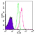 Intracellular flow analysis of TLR4 in 10e6 Ramos cells using 0.5 µg of SM7124AF647. The shaded histogram represents Ramos cells alone, green represents isotype control, and red represents TLR4 antibody.