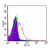 Cell surface flow cytometric analysis of TLR4 in 10e6 mouse splenocytes using 0.5 µg of SM7124AF488. Shaded histogram represents cells without anti-TLR4 antibody; green represents isotype control red represents anti-TLR4 antibody.