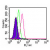 Intracellular flow cytometric analysis of TLR6 in Ramos cells using SM7112AF488 at 0.5 µg/10e6 cells. Shaded histogram represents Ramos cells without antibody; green represents isotype control; red represents anti-TLR6 antibody.
