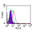 Intracellular flow analysis of TLR9 in human PBMCs (lymphocyte-gate) using 0.5 µg of SM7105F. Shaded histogram represents cells without antibody; green represents a mouse IgG1-FITC isotype control; red represents FITC conjugated anti-TLR9 antibody.