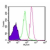 Intracellular flow cytometric analysis of TLR9 in 10e6 Ramos cells using 0.5 µg of SM7105AF647. Shaded histogram represents cells without antibody; green represents isotype control; red represents anti-TLR9 antibody.