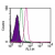 Intracellular flow analysis of TLR8 in 10e6 human lymphocytes using 1 µg of SM7104F. The shaded histogram represents lymphocytes alone, green represents isotype control, and red represents TLR8 antibody.