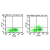 Flow cytometric analyis of CD14-/CD11c+/TLR8+ myeloid dendritic cells (mDCs).  Cells were stained for surface markers CD14 and CD11c, and intracellular stained for TLR8. CD14- cells were gated and stained with AF488-conjugated isotype control, and APC-conjugated CD11c (left). CD14- cells were gated and stained with 1 µg AF488-conjugated TLR8 (SM7104AF488), and APC-conjugated CD11c (right).