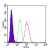 Intracellular flow cytometric analysis of TLR5 in 10e6 ThP1 cells using 0.5 µg of IMG-664AF488. The shaded histogram represents ThP1 cells alone, green represents isotype control (SM7103AF488), and red represents TLR5 antibody.