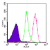 Intracellular flow analysis of TLR3 in 10e6 ThP1 cells using 0.5 µg of SM7101AF647. The shaded histogram represents ThP1 cells alone, green represents isotype control; and red represents TLR3 antibody.