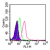 Intracellular flow cytometric analysis of TLR3 in human monocytes using 1 µg/10e6 cells of SM7101AF488. Shaded histogram represents cells without antibody; green represents isotype control; red represents anti-TLR3 antibody.