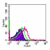 Cell surface flow analysis of TLR4 in mouse peritoneal cells using 0.5 µg of SM1827R. Shaded histogram represents cells without antibody; green represents isotype control; red represents anti-TLR4 antibody.