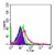 Cell surface flow cytometric analysis of TLR4 in mouse peritoneal cells using 1 µg of SM1827F. Shaded histogram represents cells without antibody; green represents isotype control; red represents anti-TLR4 antibody.
