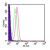 Intracellular flow cytometric analysis of TLR1 in human PBMCs (lymphocyte-gated) using SP7341AF488 at 10 µl/10e6 cells. Shaded histogram represents cells alone, green represents isotype control, red represents TLR1 antibody.