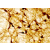 Staining with Tyrosine Hydroxylase Antibody 22941
