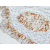 MMP8 Polyclonal Antibody
