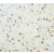 Immunohistochemical analysis of paraffin embedded rat tissue sections (brain), staining NGFbeta in cytoplasm DAB chromogenic reaction