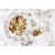Staining with S100 Antibody (22520)
