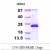 Recombinant human ARL5A, 1- 179 aa, His-tagged
