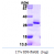Recombinant human RGS2, 1-211aa, His-tagged
