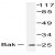 Western blot (WB) analysis of Bak1/2 pAb in extracts from 293 cells.