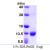 Recombinant human S100A3, 1-101 aa, His-tagged