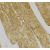 Immunohistochemical staining of human skeletal muscle with Rabbit anti Human caspase-7 (SP2148P)