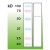 Anti-p53 (DB 002). Western blot of p53 in mouse brain crude lysate (50μg of protein loaded).