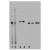 Western blots of 14-3-3 isoforms in HEK293 cell extracts using 14-3-3 antibodies.
Lane 1: anti-gamma 14-3-3 (AP05567SU-N)
Lane 2: anti-zeta 14-3-3 (AP05572SU-N)
Lane 3: anti-C-epsilon-14-3-3 (AP05565SU-N)
Lane 4: anti-N-epsilon-14-3-3 (AP05568SU-N)
Lane 5: anti-eta 14-3-3. (AP05566SU-N)
The 14-3-3 isoforms run at 30kDa except epsilon 14-3-3