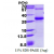 Recombinant human RGS17, 1-210aa, His-tagged