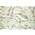 Immunohistochemistry of paraffin-embedded Lung cancer using 10845-1-AP(CCND3 Antibody) at Dilution 1:100 (under 10x lens)