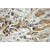 Immunohistochemistry of paraffin-embedded Prostate cancer using 11142-1-AP(ATP1B3 Antibody) at Dilution 1:50 (under 10x lens)