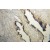 Immunohistochemistry of paraffin-embedded Gliomas using 12495-1-AP(CRYM Antibody) at Dilution 1:50 (under 10x lens)