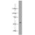 Colo320 cell were subjected to SDS PAGE followed by western blot with 14021-1-AP(AADACL1 Antibody) at dilution of 1:600
