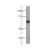 Jurkat cell were subjected to SDS PAGE followed by western blot with 14681-1-AP(ASNS Antibody) at dilution of 1:1000