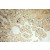 Immunohistochemistry of paraffin-embedded H-placenta using 17874-1-AP(MMP8 Antibody) at Dilution 1:100 (under 10x lens)