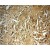 Immunohistochemistry of paraffin-embedded Breast cancer using 18165-1-AP(MMP13 Antibody) at Dilution 1:50 (under 10x lens)