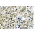Immunohistochemical analysis using Androgen receptor antibody Cat.-No. AP06010PU-N in Paraffin-embedded human prostate carcinoma tissue.