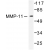 Western blot(WB) analysis of MMP-11 antibody in extracts from A549 cells.