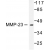 Western blot(WB) analysis of MMP-23 antibody in extracts from SKOV3 cells.
.