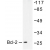 Western blot(WB) analysis of BCL-2 antibody in extracts from K562 cells.
