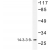 Western blot (WB) analyzes of 14-3-3 θ  antibody in extracts from HUVEC cells.