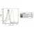FACS analysis using ANTI-HSP27 antibody staining on Heat Schock treated CD3+CD8+ T cells