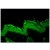 Hsp90 visulaized using HSP90 Antibody Cat.-No AP03019SU, tested on Bouin's fixed paraffin-embedded backskin sections of transgenic mice. Courtesy of Dr. Turksen, Ottawa Hospital Research Institute, Canada.