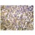 Immunohistochemistry analysis of MMP-10 antibody Cat.-No AP06537PU-N in paraffin-embedded human brain tissue.