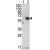 Western blot analysis of AKT1 (arrow) in 293 cell lysates (2 ug/lane) either nontransfected (Lane 1) or transiently transfected with the AKT1 gene (Lane 2) using AKT1 / PKB antibody Cat.-No. AP13559PU-N (C-term).