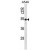 KRT7 Antibody (N-term) (Cat. #AP52419PU-N) western blot analysis in A549 cell line lysates (35µg/lane).This demonstrates the KRT7 antibody detected the KRT7 protein (arrow).