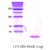 Alpha-Synuclein / SNCA