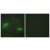 Immunofluorescence analysis of HeLa cells, using TNFSF9 Antibody. The picture on the right is treated with the synthesized peptide.